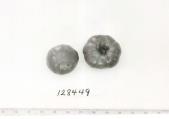 Click for 1 image(s) for this accession. FRUIT